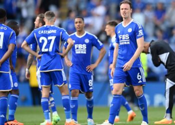 Premier League: Iheanacho, Ndidi Suffer Relegation With Leicester City