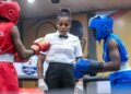 Over Twenty Countries Confirmed For African Boxing Congress In Lagos