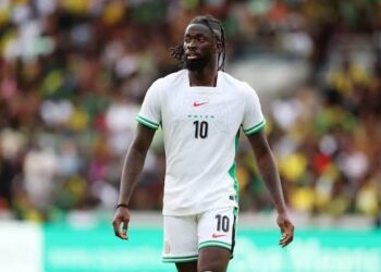 Okoye, Arokodare Dropped From Super Eagles Nations Cup Squad