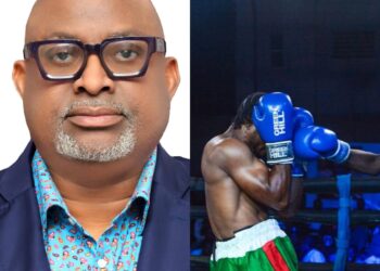 NBF Appoints Omo-Agege As Chairman Pro Boxing Committee